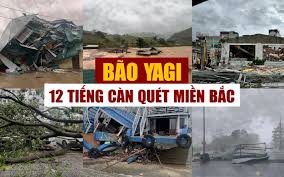 3.5. THƯ CẢM ƠN LŨ LỤT